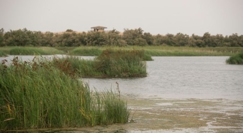 Affordable AI tool warns of water quality threats before they happen