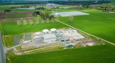 The Ecogas AD plant at Reporoa processes c. 75,000 tonnes of organic waste each year and supplies CO2 to a to a nearby tomato greenhouse. Pasteurisation plays crucial role in award winning New Zealand AD plant