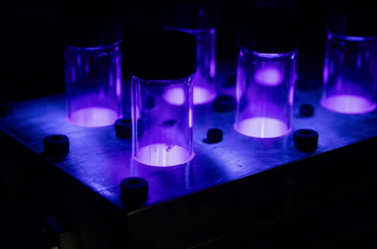A set of jars illuminated by purple light.
